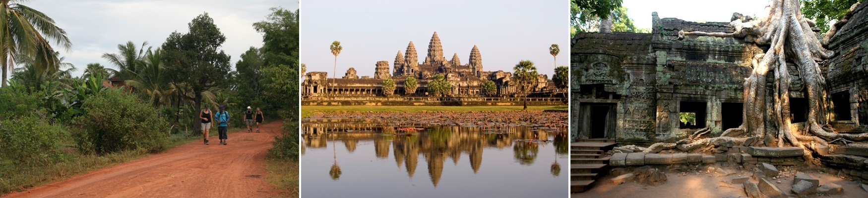 You are currently viewing Rosemere Cancer Foundation and Leyland Beds and Furniture – Angkor Wat Trek 2025